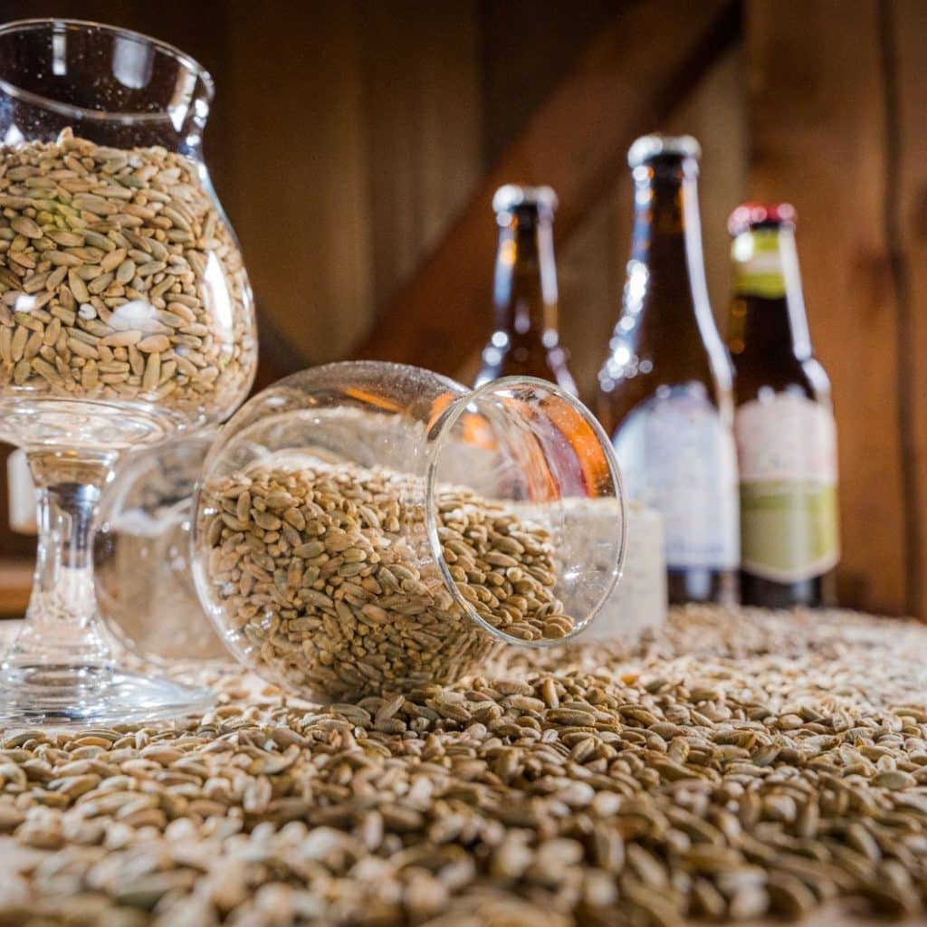 Sustainable Brewing
