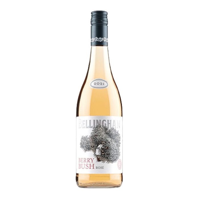 Bellingham Berry Bush Dry Rose