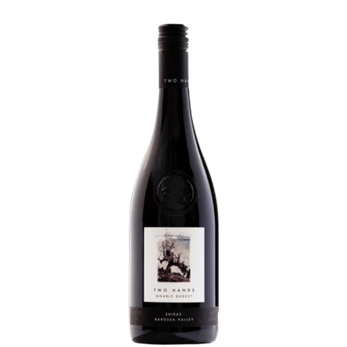 Two Hands Gnarly Dudes Shiraz